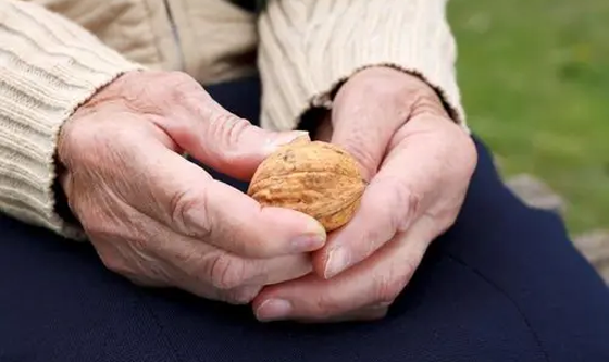 Social Security Benefits in a Nutshell — Everything You Need to Know